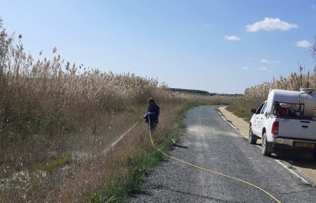 ΚΑΤΑΠΟΛΕΜΗΣΗ ΚΟΥΝΟΥΠΙΩΝ ΣΤΗ ΛΑΡΝΑΚΑ