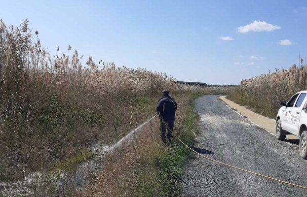 ΣΥΝΕΧΙΖΟΝΤΑΙ ΟΙ ΨΕΚΑΣΜΟΙ ΚΑΤΑ ΤΩΝ ΚΟΥΝΟΥΠΙΩΝ ΣΤΗ ΛΑΡΝΑΚΑ