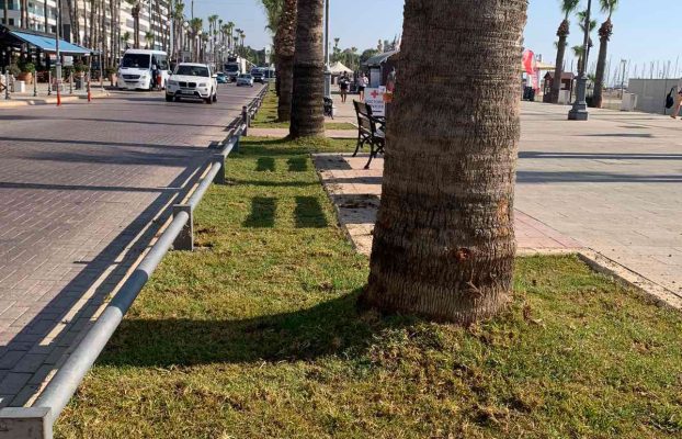 Τοποθέτηση χλοοτάπητα κατά μήκος του ανατολικού πεζοδρομίου του παραλιακού μετώπου των Φοινικούδων