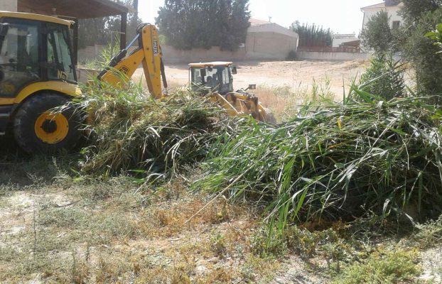 ΚΑΘΑΡΙΣΜΟΣ ΙΔΙΩΤΙΚΩΝ ΟΙΚΟΠΕΔΩΝ ΚΑΙ ΑΛΛΩΝ ΑΝΟΙΚΤΩΝ ΧΩΡΩΝ ΣΤΗ ΛΑΡΝΑΚΑ 2023