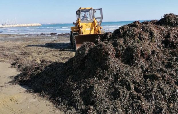 ΕΒΔΟΜΑΔΙΑΙΑ ΕΝΗΜΕΡΩΣΗ ΤΜΗΜΑΤΟΣ ΚΑΘΑΡΙΟΤΗΤΑΣ