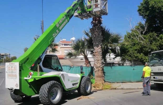 ΕΒΔΟΜΑΔΙΑΙΑ ΕΝΗΜΕΡΩΣΗ ΤΜΗΜΑΤΟΣ ΠΡΑΣΙΝΟΥ