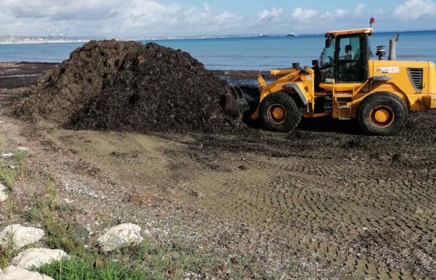 ΕΒΔΟΜΑΔΙΑΙΑ ΕΝΗΜΕΡΩΣΗ ΤΜΗΜΑΤΟΣ ΚΑΘΑΡΙΟΤΗΤΑΣ