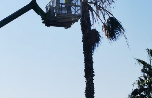 ΕΒΔΟΜΑΔΙΑΙΑ ΕΝΗΜΕΡΩΣΗ ΤΜΗΜΑΤΟΣ ΠΡΑΣΙΝΟΥ