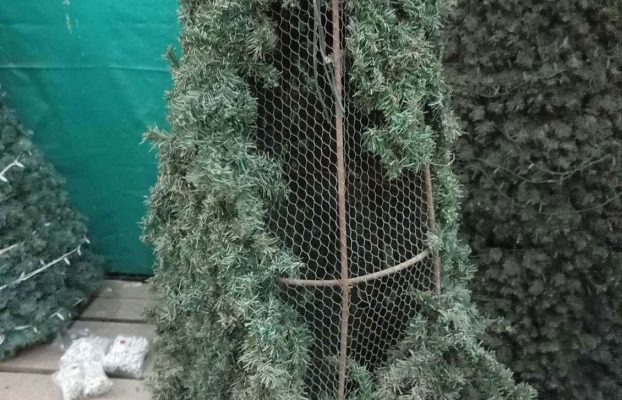 Βανδαλισμοί και κλοπή μέρους του χριστουγεννιάτικου διακόσμου της Λάρνακας