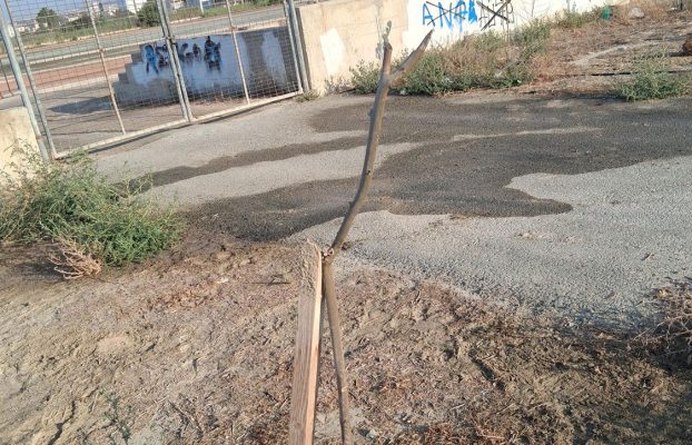 Καταστροφή Πρασίνου στον Χώρο Πλησίον του Γυμνασίου Βεργίνας