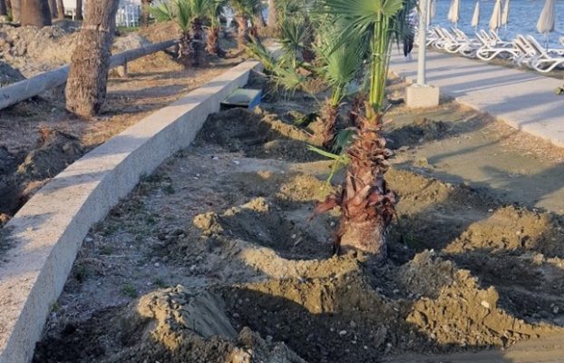 Βραβείο «Πράσινη Πόλη της Κύπρου 2025» στον Δήμο Λάρνακας για το έργο «Ενίσχυση και Επέκταση του θεσμού των Πράσινων Παραλιών»