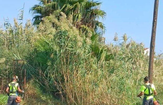 Εβδομαδιαία Ενημέρωση Τμήματος Καθαριότητας