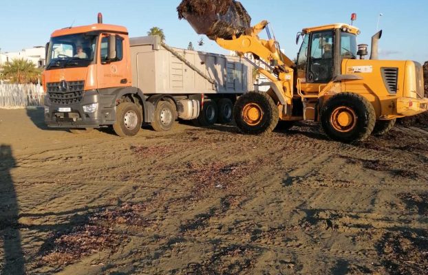 ΕΒΔΟΜΑΔΙΑΙΑ ΕΝΗΜΕΡΩΣΗ ΤΜΗΜΑΤΟΣ ΚΑΘΑΡΙΟΤΗΤΑΣ