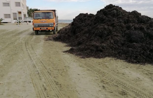 ΕΒΔΟΜΑΔΙΑΙΑ ΕΝΗΜΕΡΩΣΗ ΤΜΗΜΑΤΟΣ ΚΑΘΑΡΙΟΤΗΤΑΣ